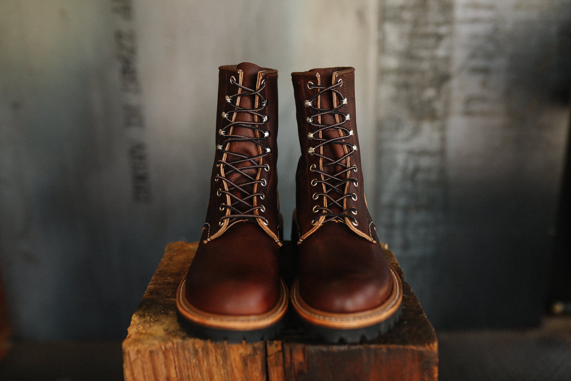 リンクスパイダー レリーフ　EU 英語 8