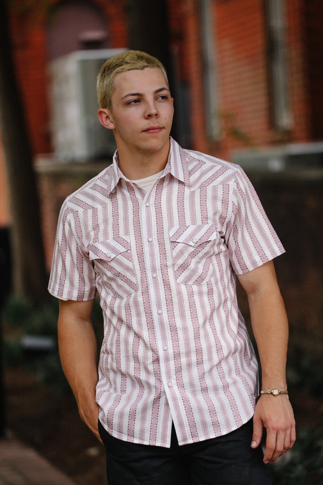 Short Sleeve Western- Desert Dobby Stripe Red
