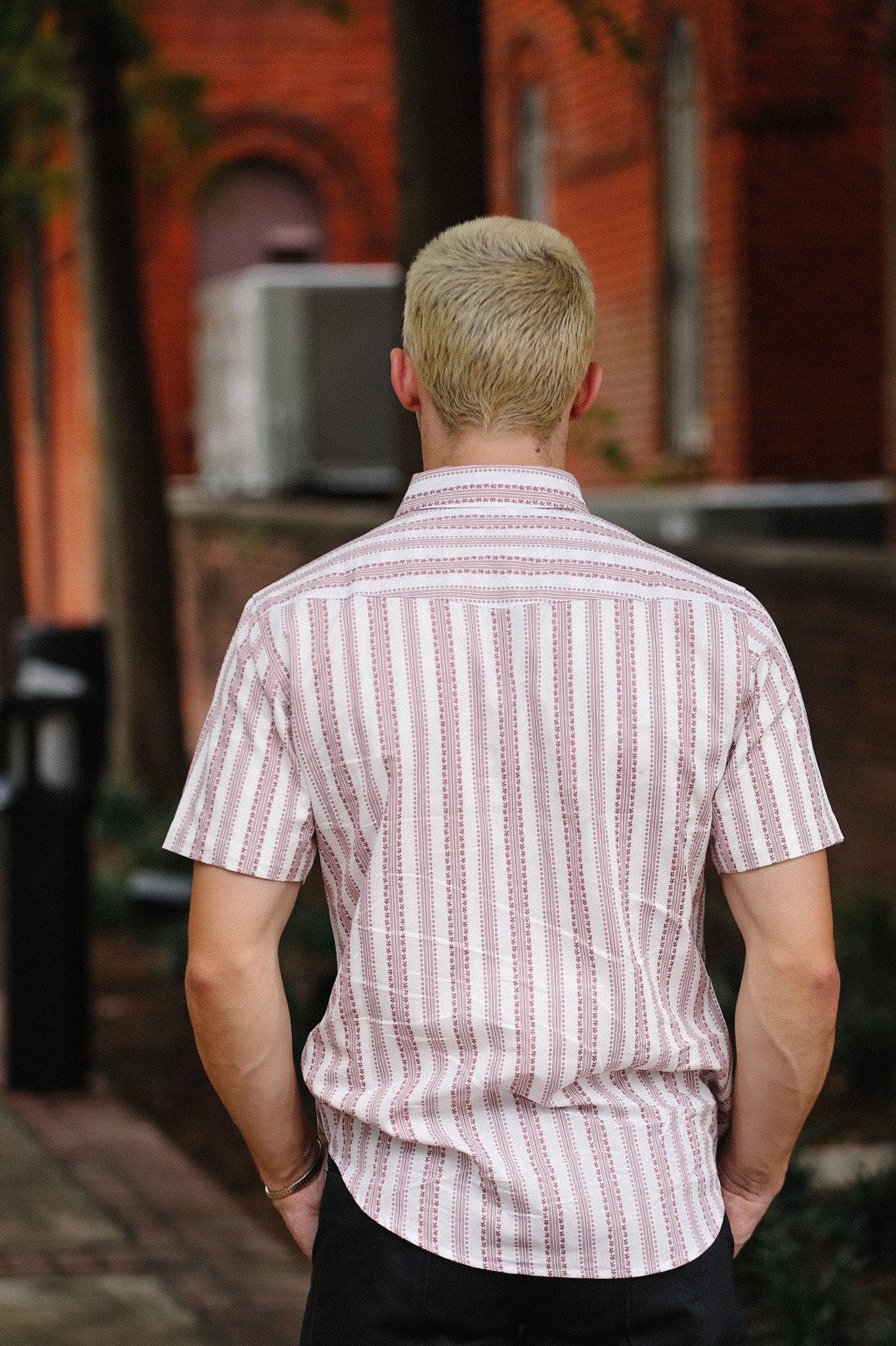 Short Sleeve Western- Desert Dobby Stripe Red