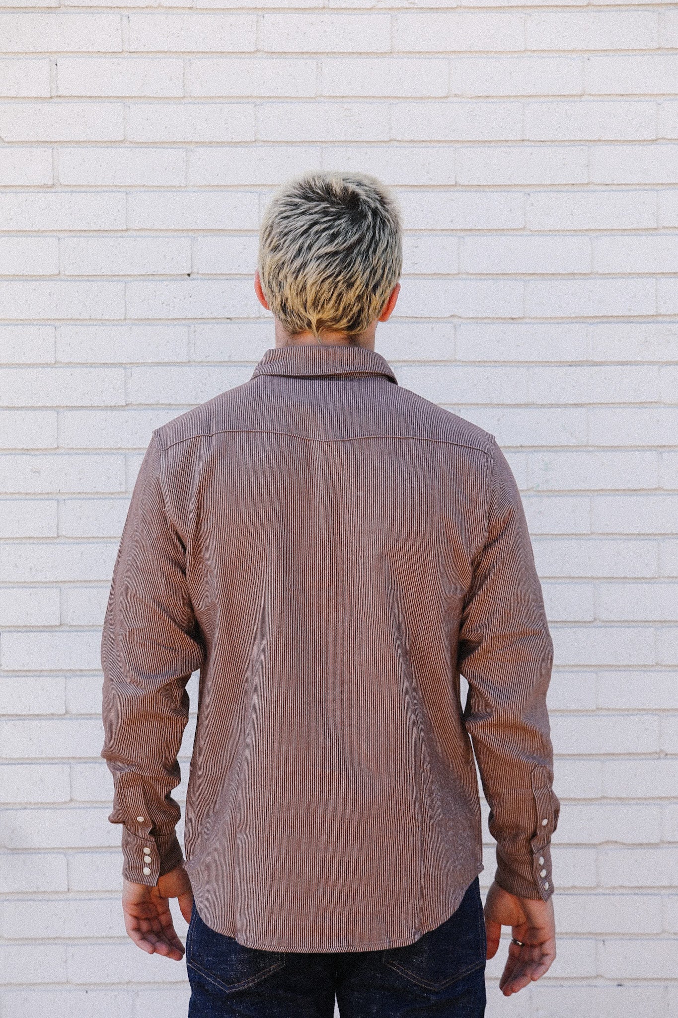 Railroad Stripe Flannel Western- Clay