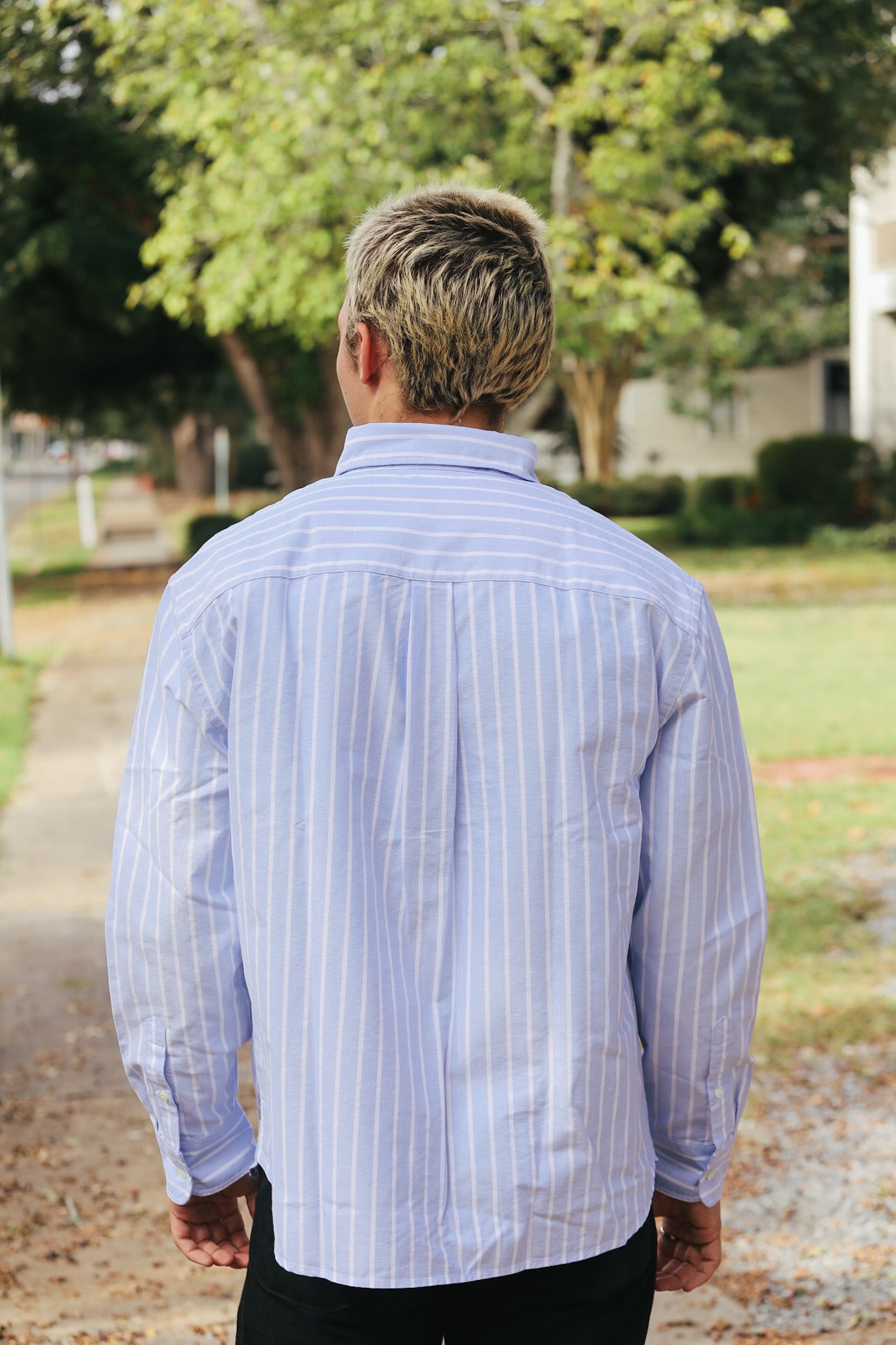 Big Oxford - Blue Banker Stripe