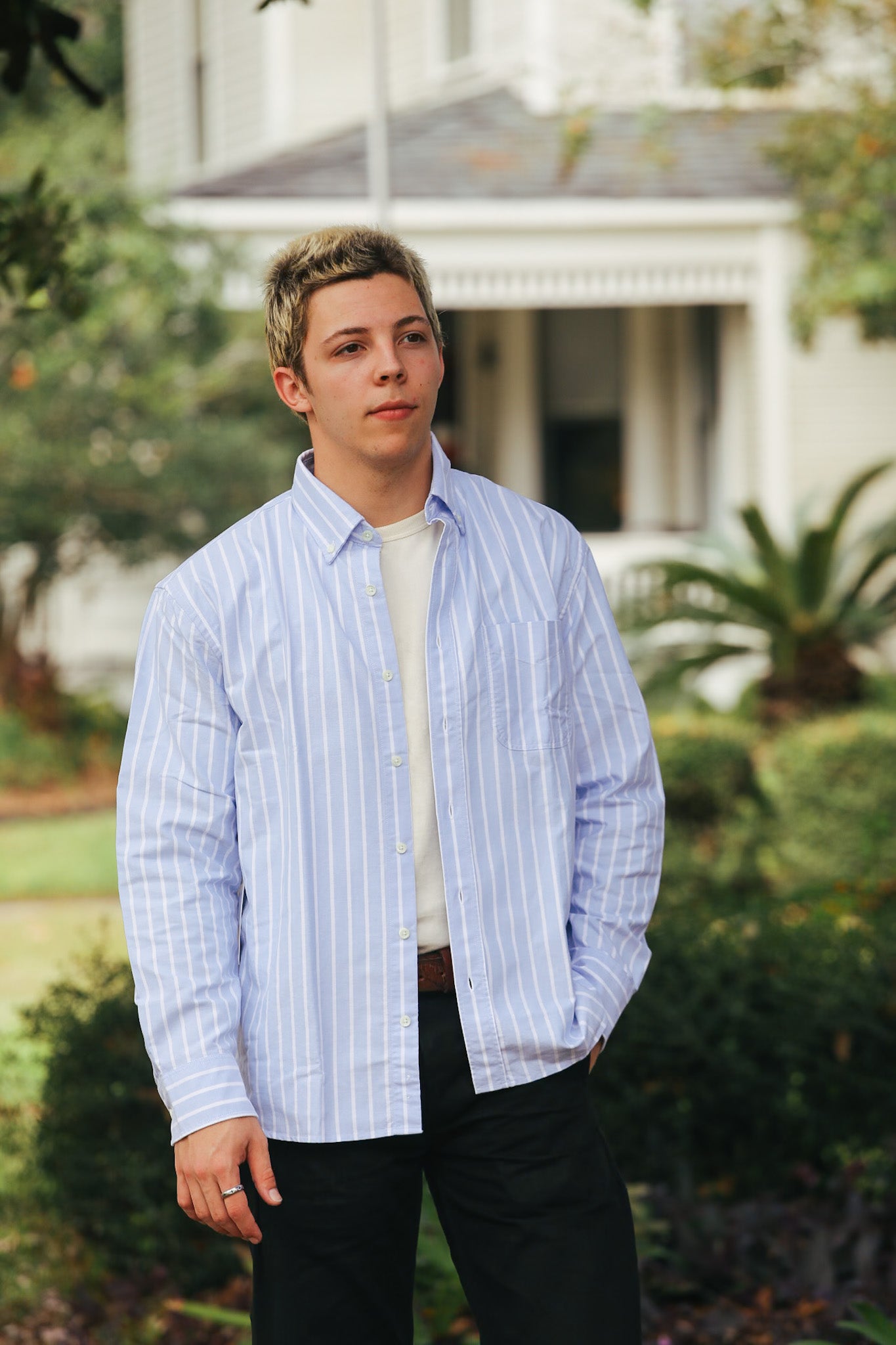 Big Oxford - Blue Banker Stripe