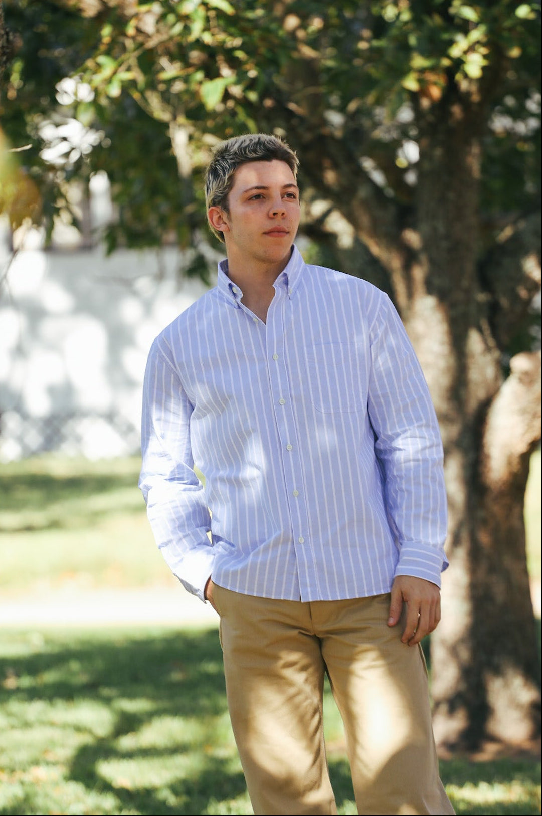 Big Oxford - Blue Banker Stripe