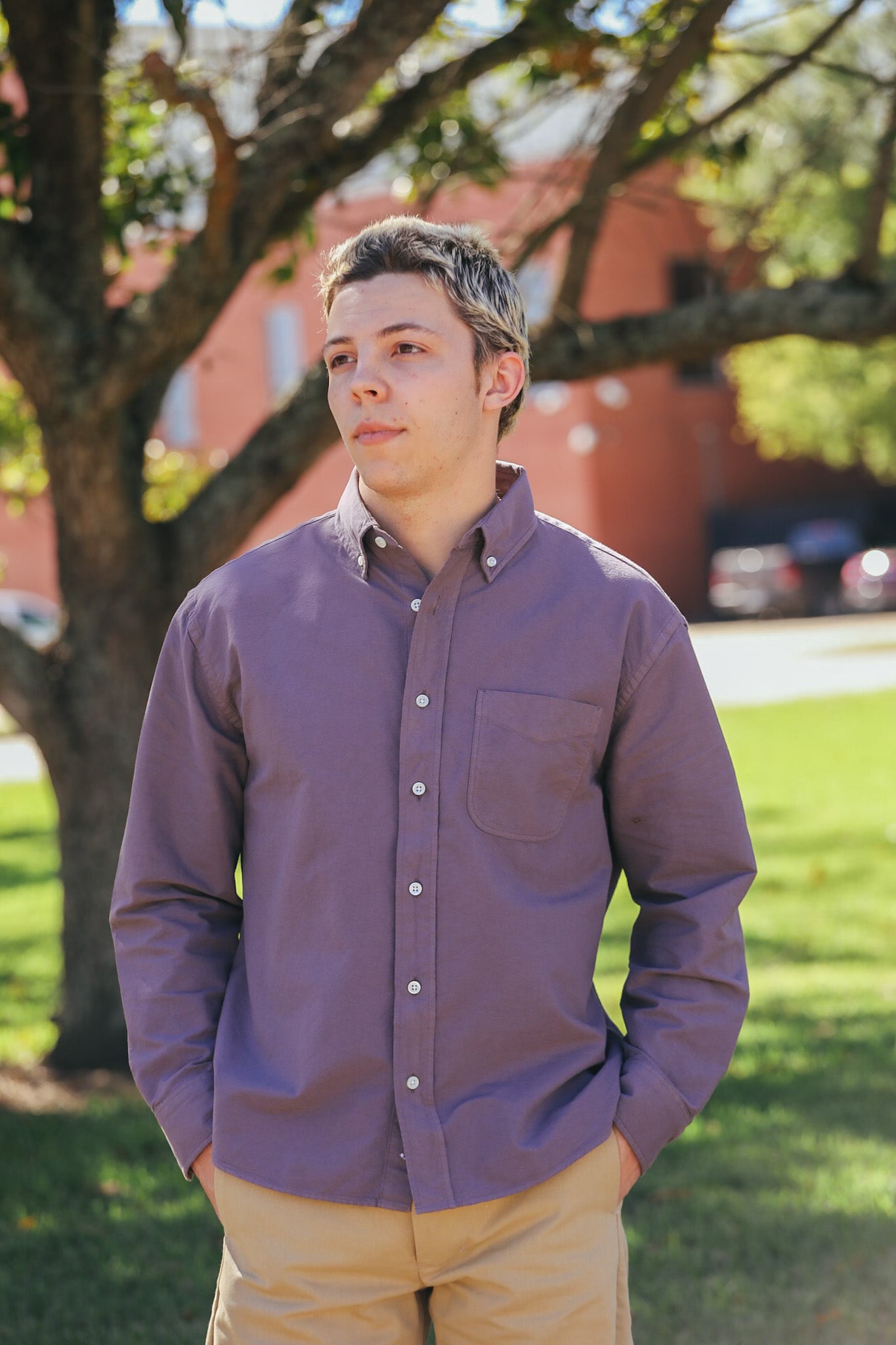 Big Oxford - Dusty Purple