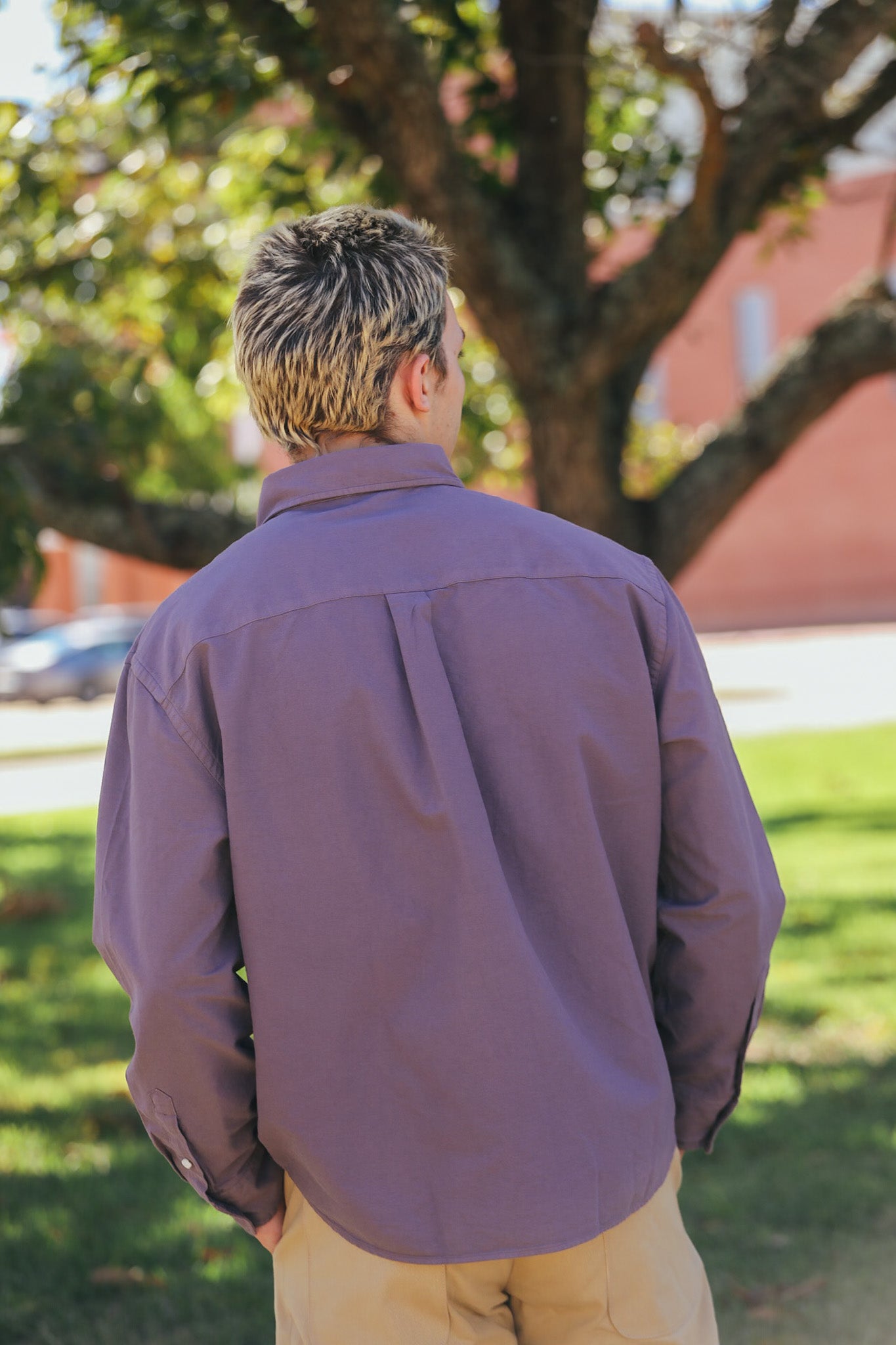 Big Oxford - Dusty Purple