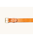 Standard Belt - Saddle Tan