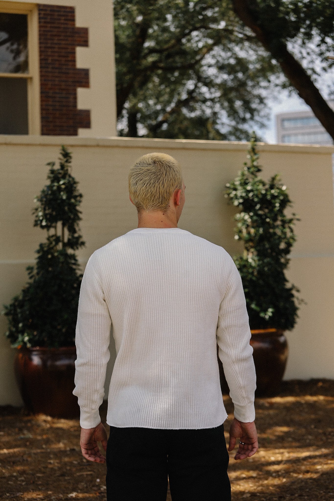 Man wearing a white sweater standing outdoors with plants and a building in the background