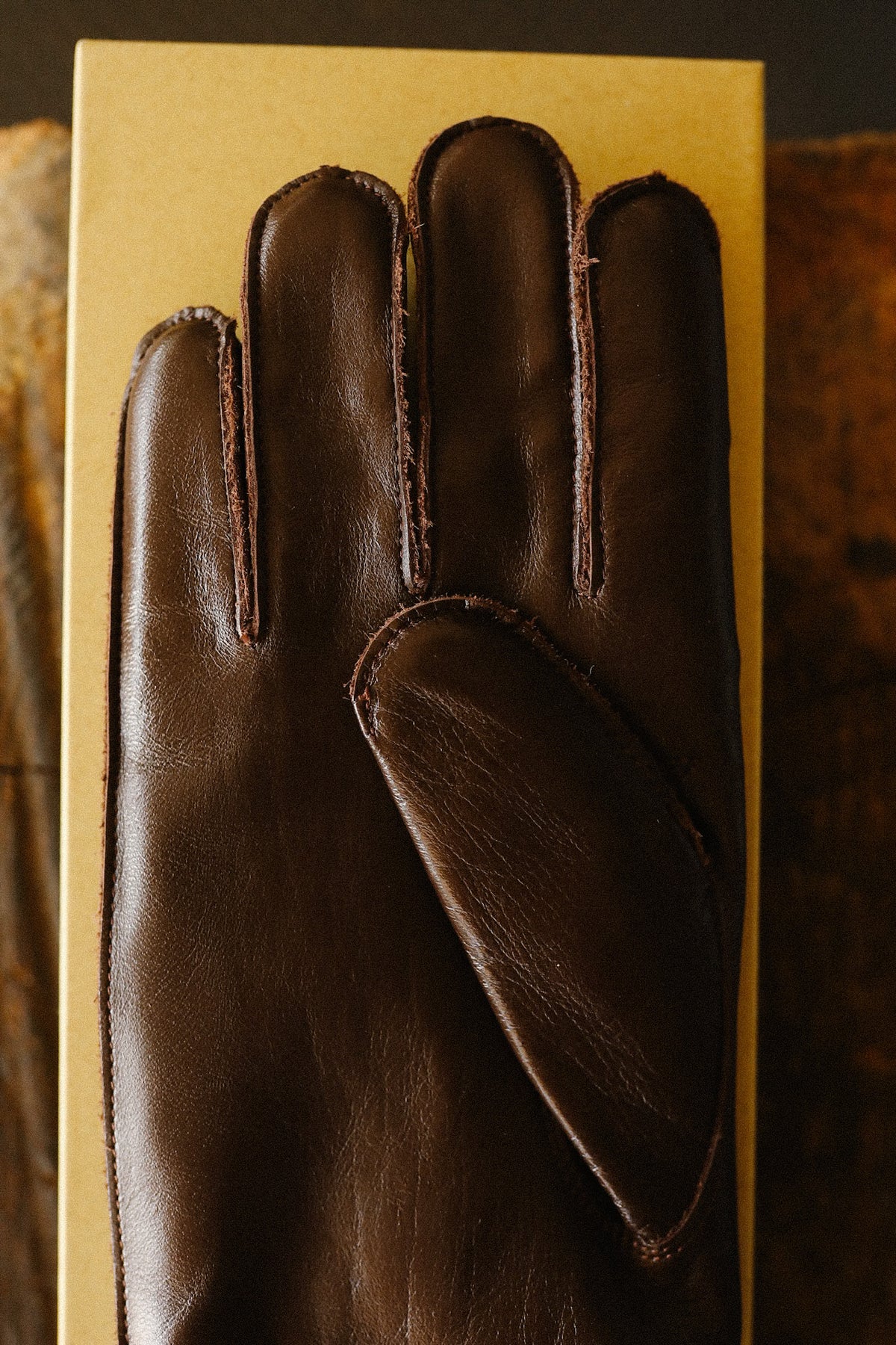 BR02835 Buzz Rickson Winter Flying Gloves Type A-10- Brown