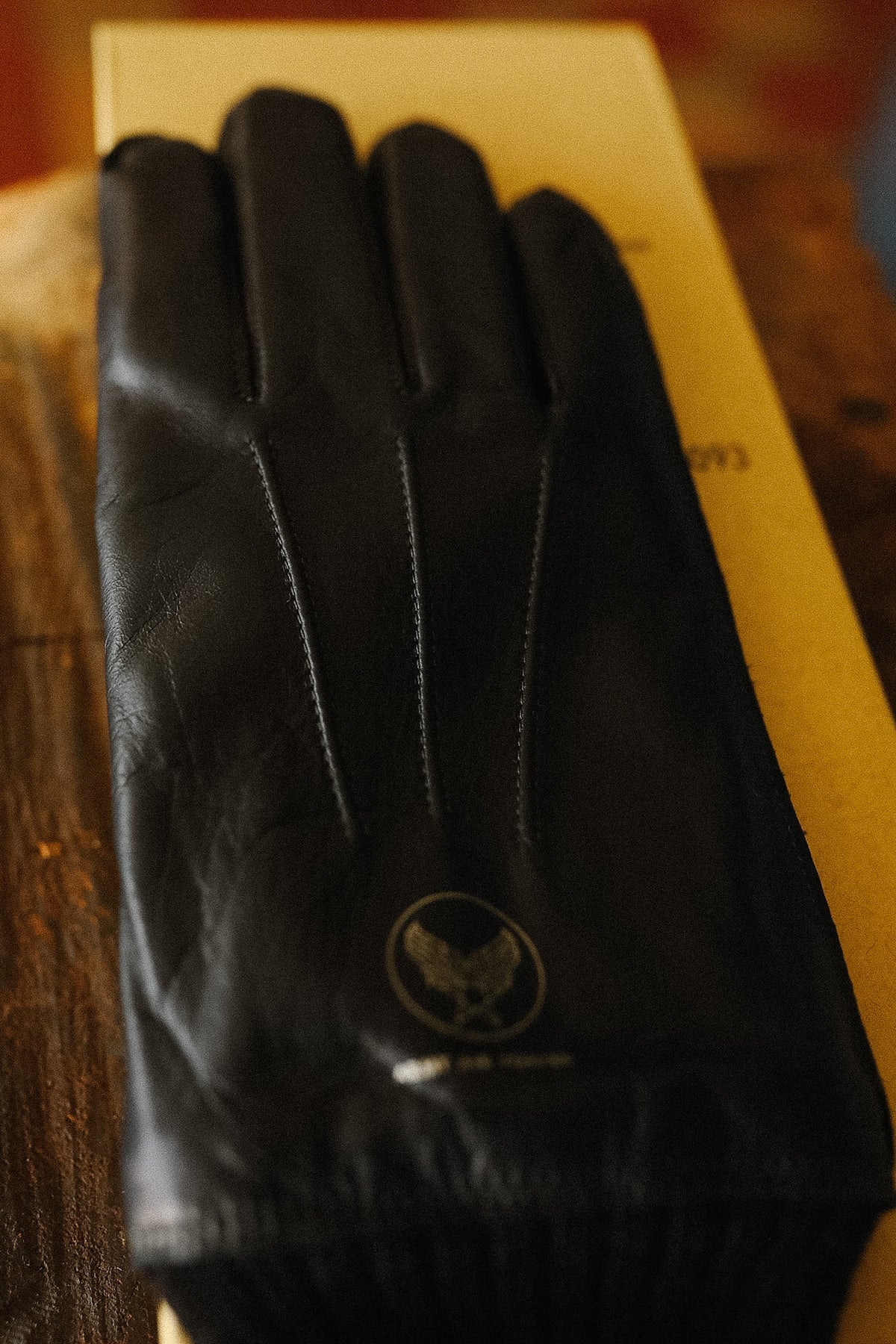 BR02873 Buzz Rickson Winter Flying Gloves Type A-10 William Gibson Collection- Black