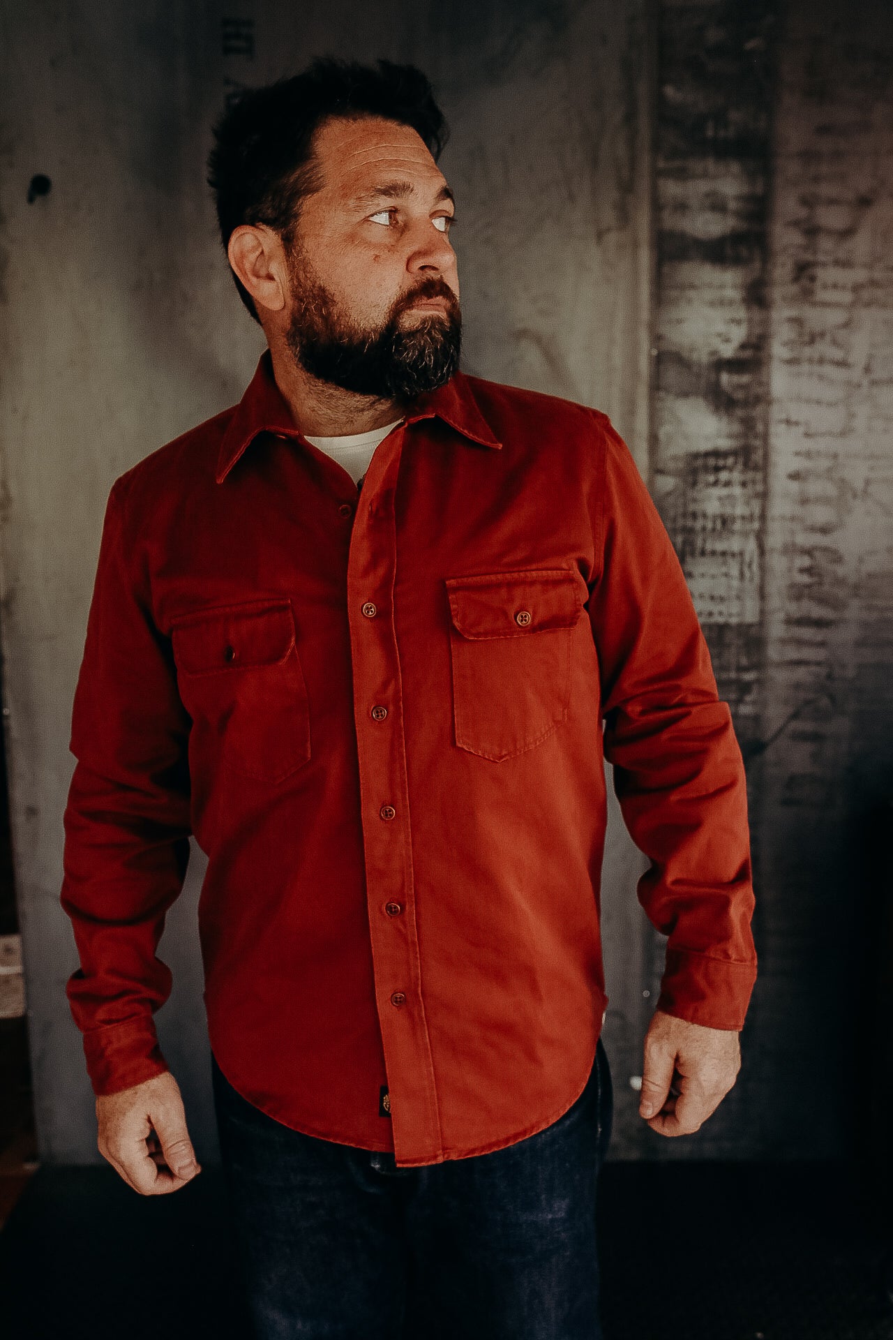 Alamo Shirt, Cotton Twill- Tiger Heron