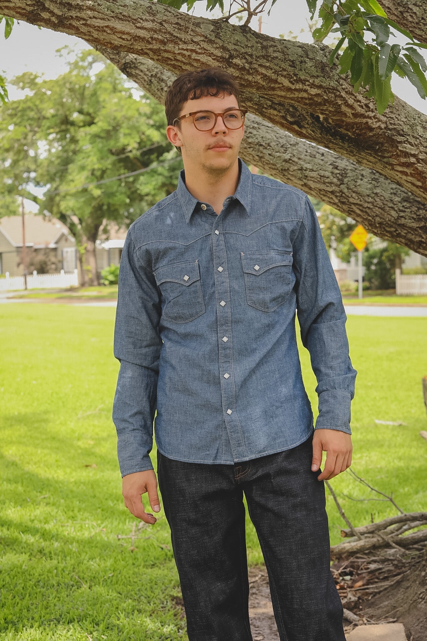 Man wearing a blue denim shirt standing under a tree in a park.