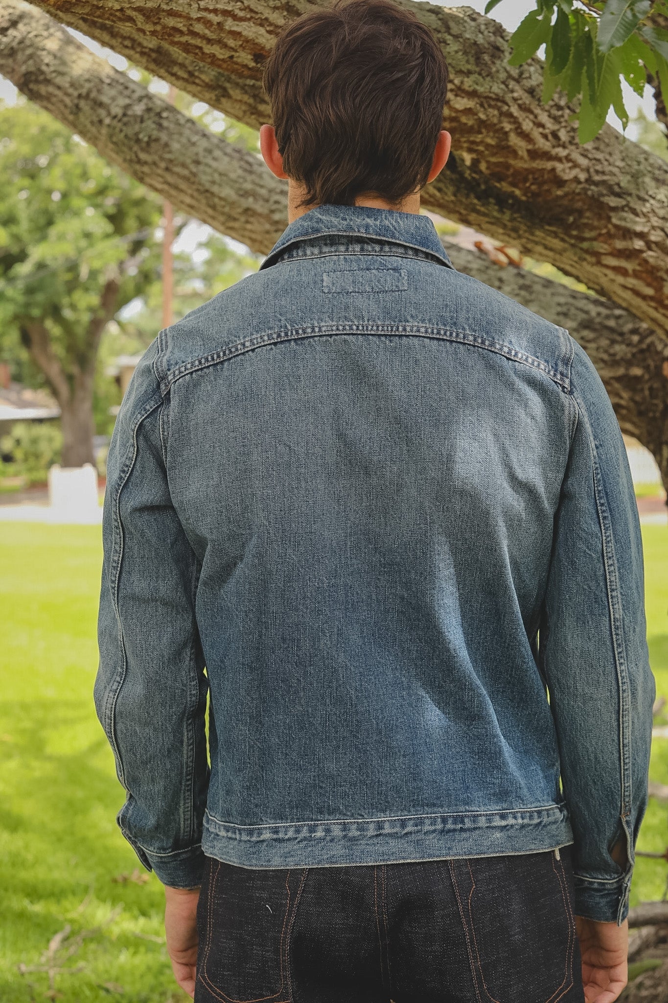 Person wearing a blue denim jacket standing under a tree in a park.