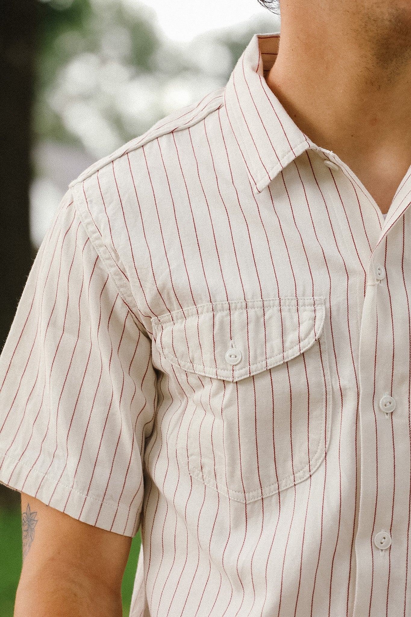 Close-up of a person wearing a beige and brown striped shirt with a blurred outdoor background.