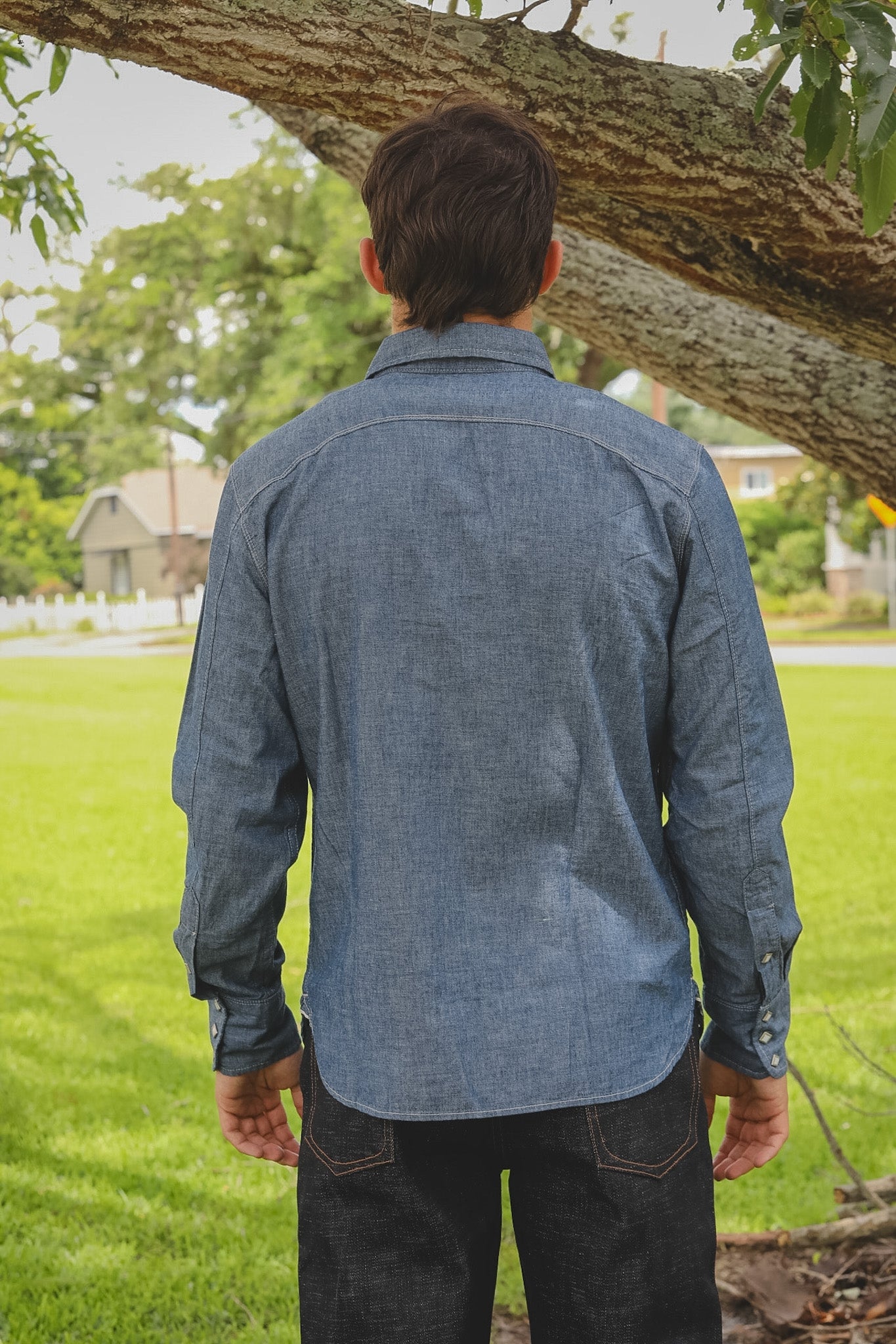 Person wearing a blue denim shirt standing under a tree in a park.
