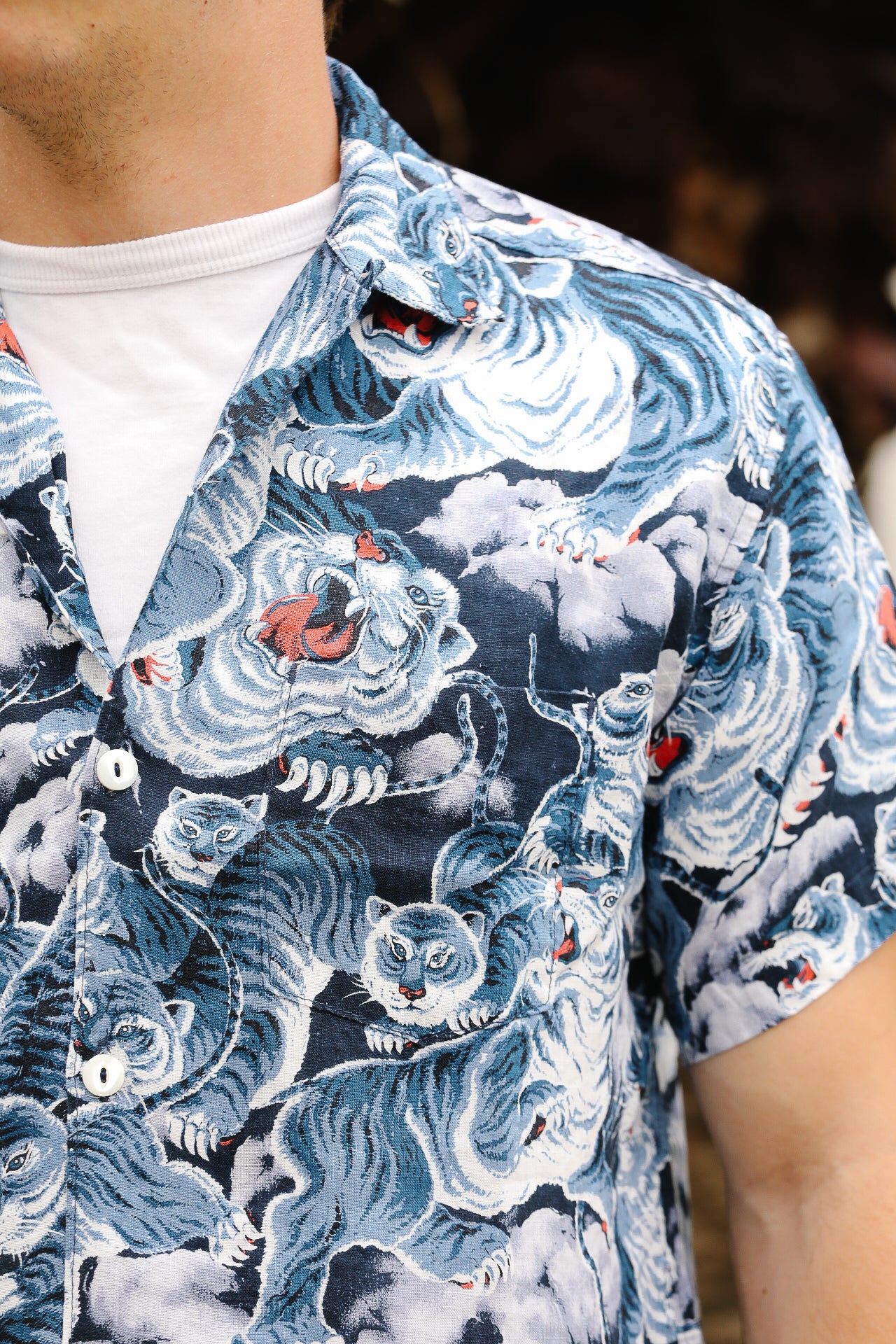 Close-up of a person wearing a shirt with blue tiger print