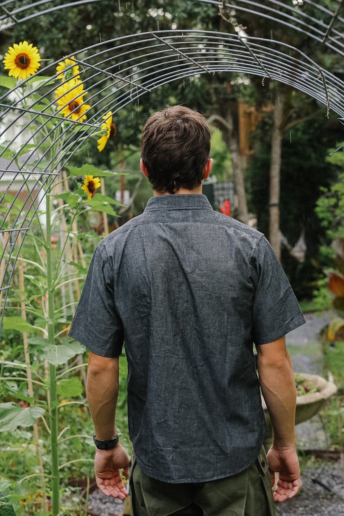 Man standing in a garden with sunflowers and a metal archway.