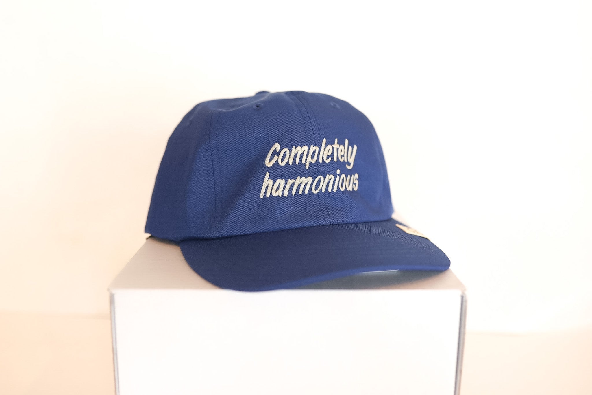 Visvim Excelsior II Cap- Blue – Iron Shop Provisions