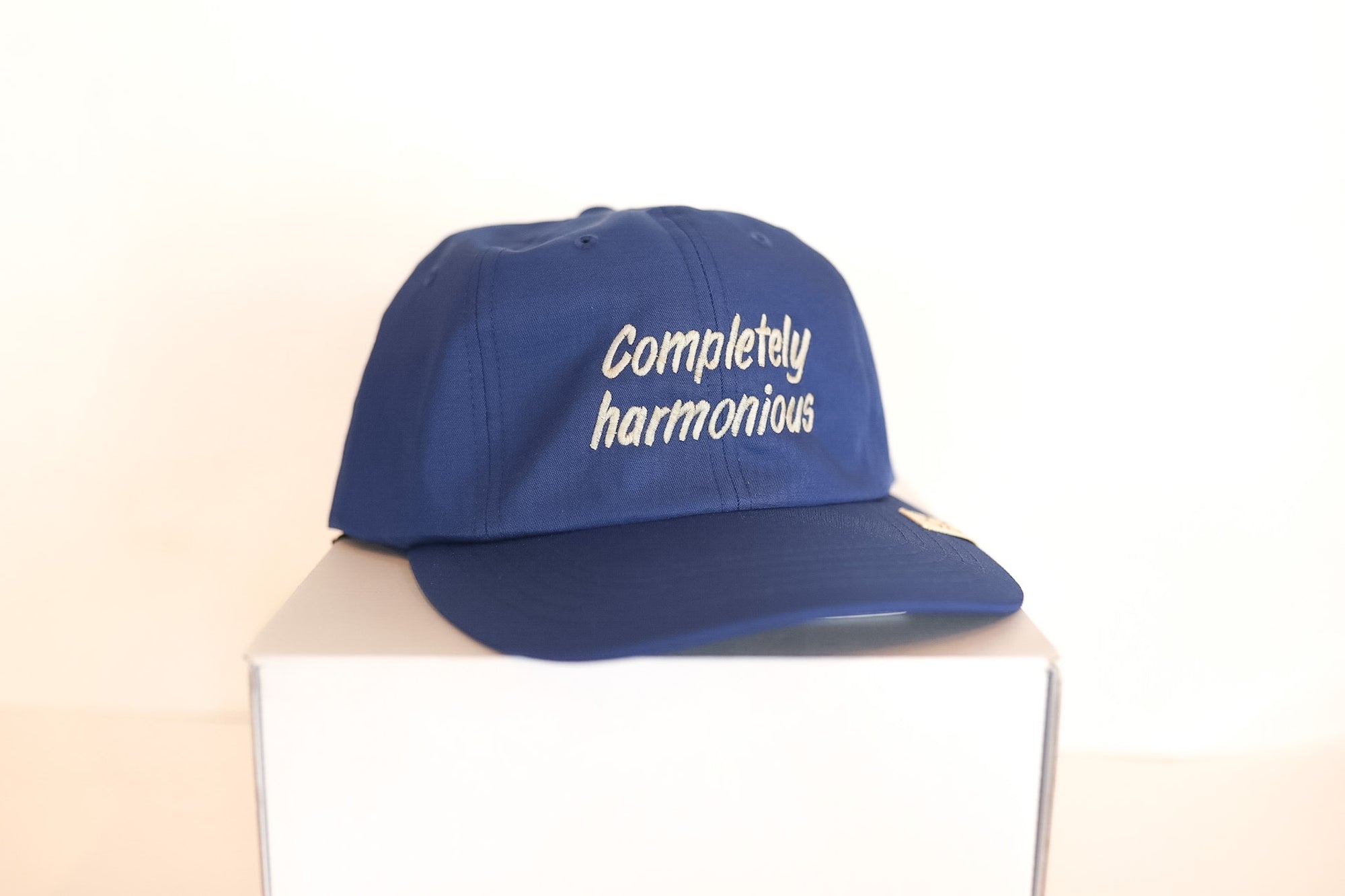 Blue cap with 'Completely harmonious' text on a white background