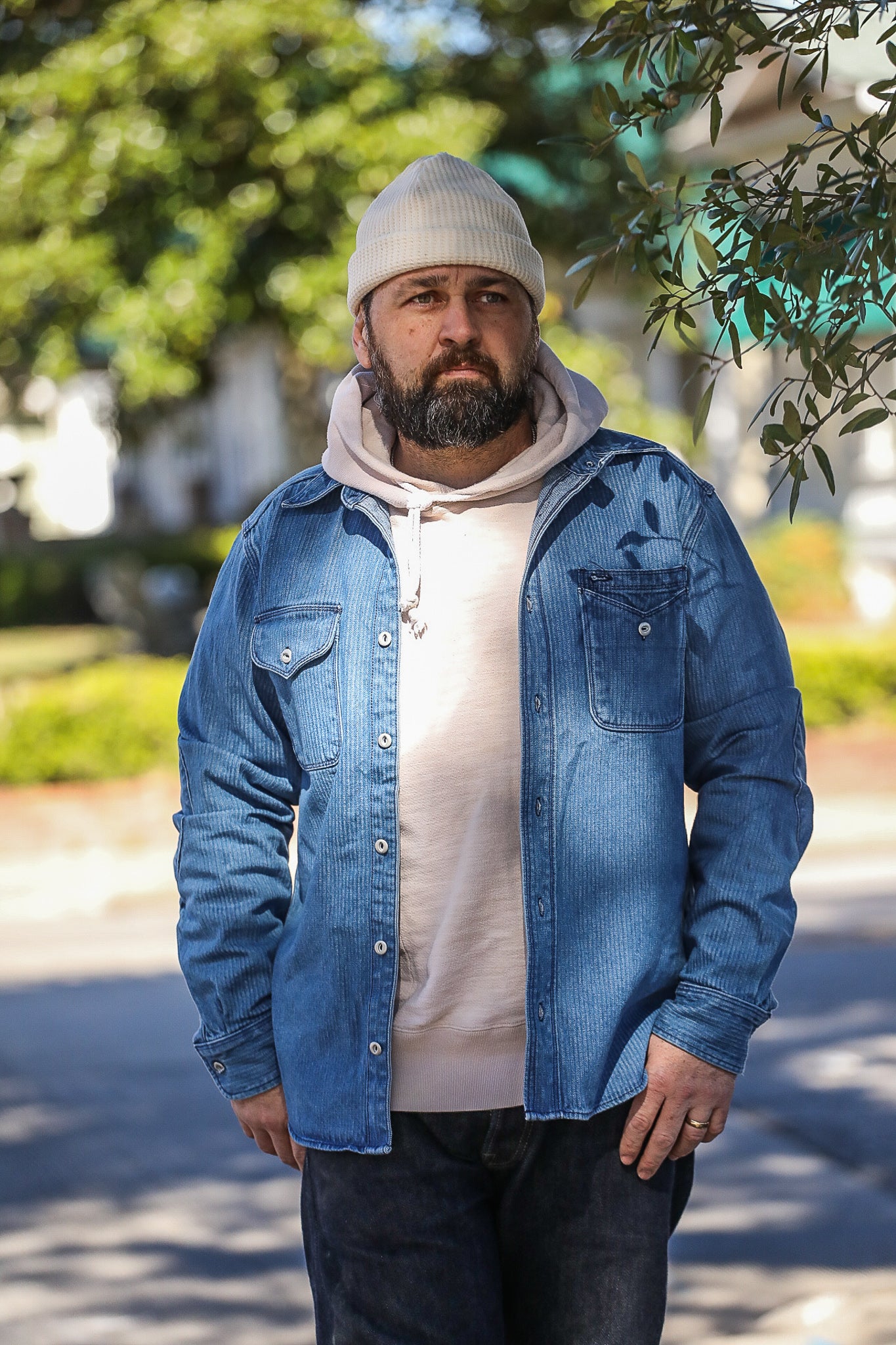 Lambert in Indigo