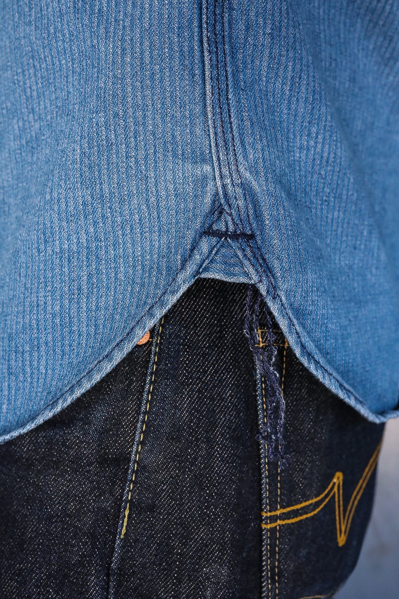Lambert in Indigo