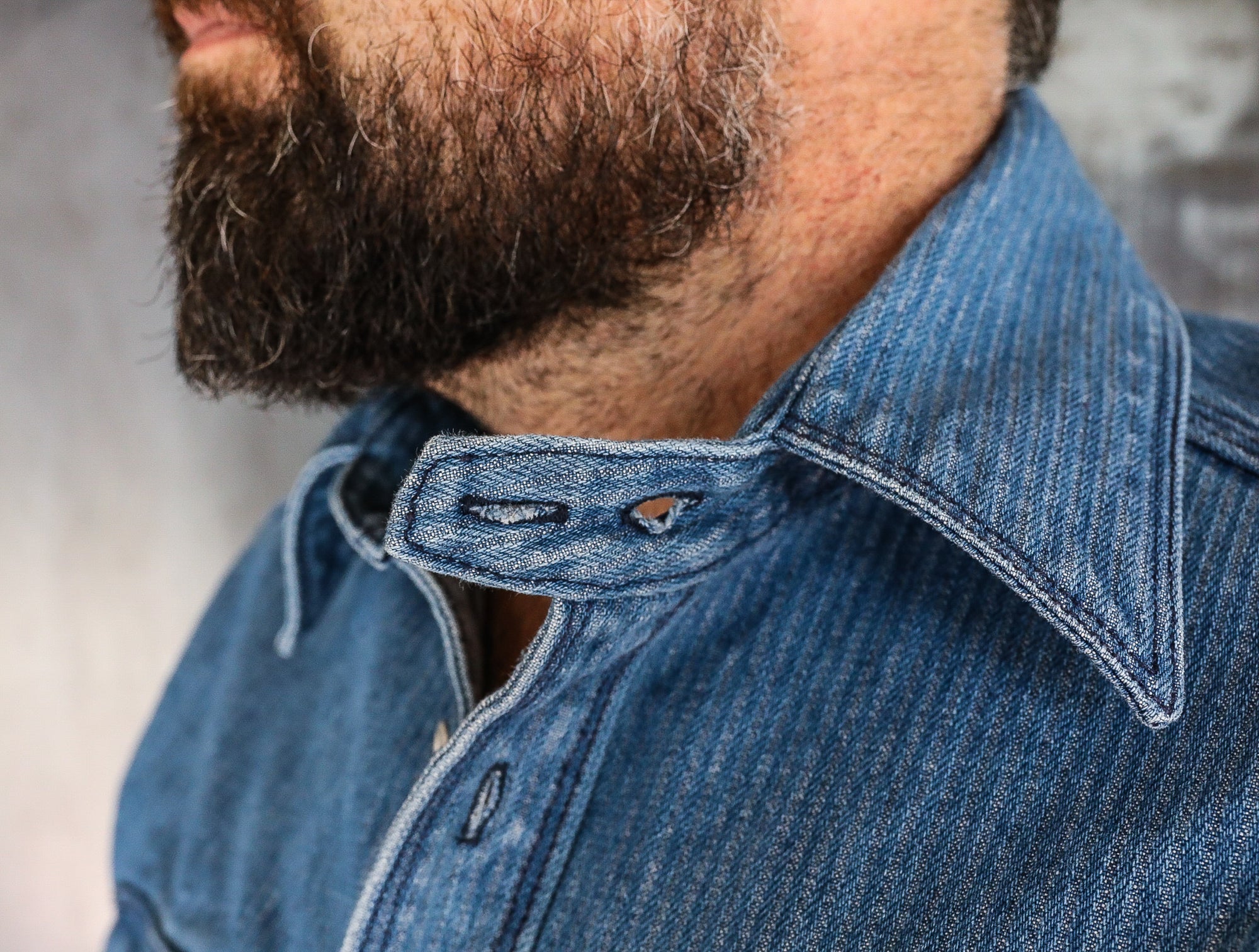 Lambert in Indigo
