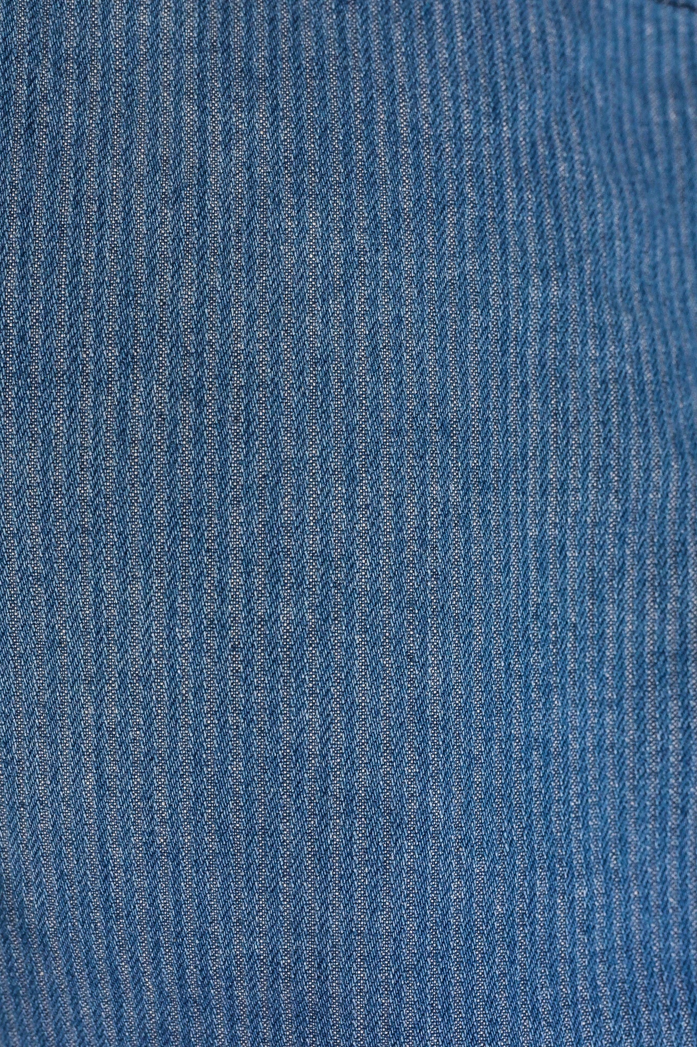 Lambert in Indigo